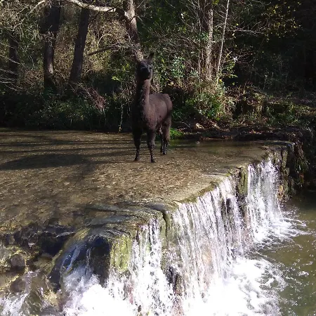 Cevennes: Piscine, Lamas, Riviere Bed & Breakfast 3*